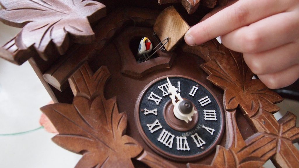 How Get A Cuckoo Clock Working
